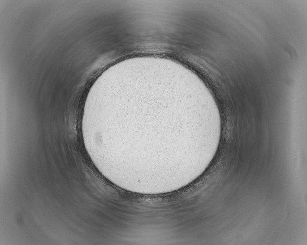 X0000110881451200907301424