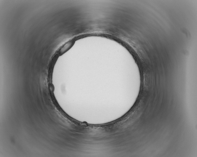 X0000110881452200907301424