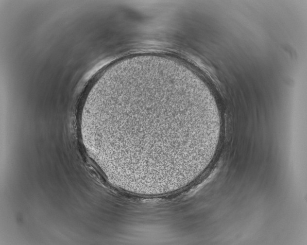 X0000110881453200907301424