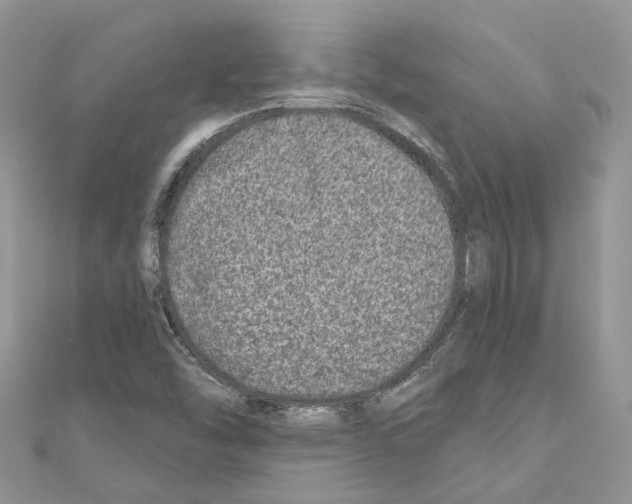 X0000110881454200907301424