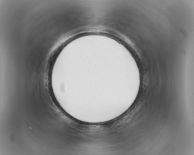 X0000110881456200907301424