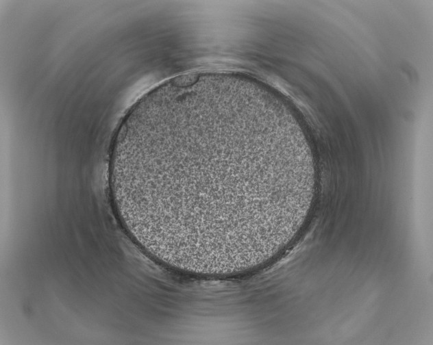 X0000110881459200907301424