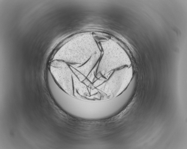 X0000110881461200907301424