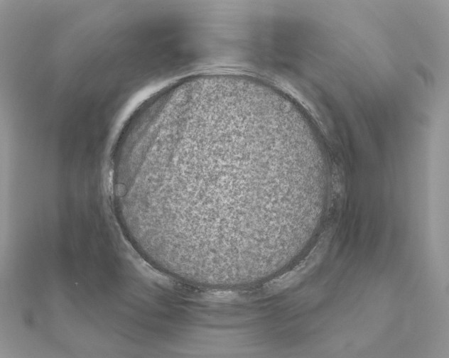 X0000110881462200907301424