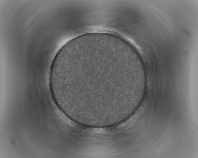 X0000110881463200907301424