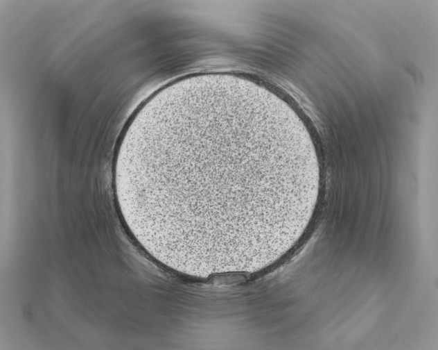 X0000110881465200907301424