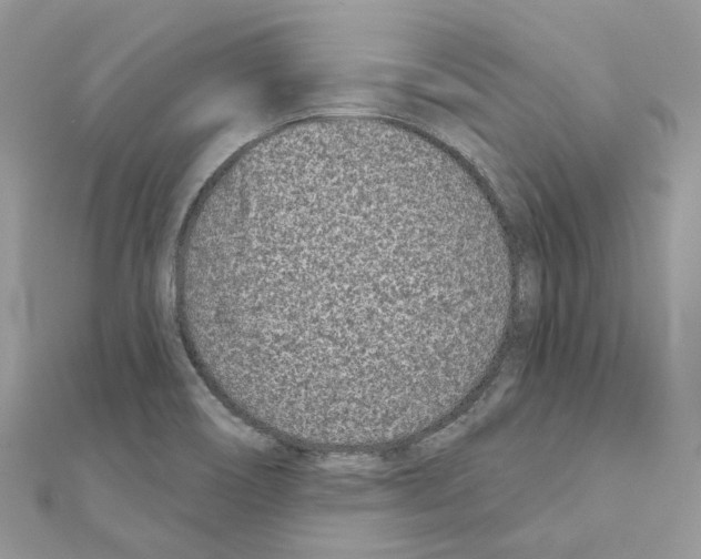 X0000110881466200907301424