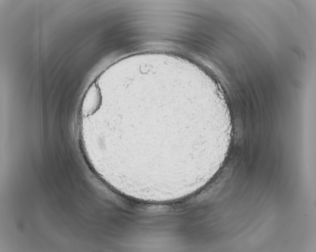 X0000110881467200907301424