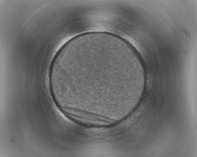 X0000110881468200907301424