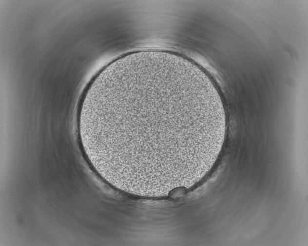 X0000110881469200907301424