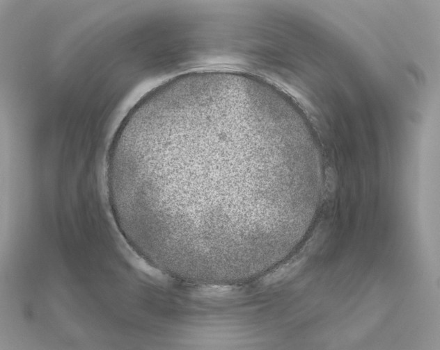 X0000110881470200907301424