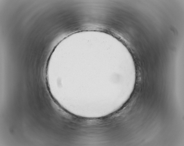 X0000110881471200907301424