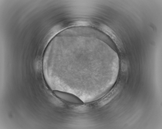 X0000110881473200907301424