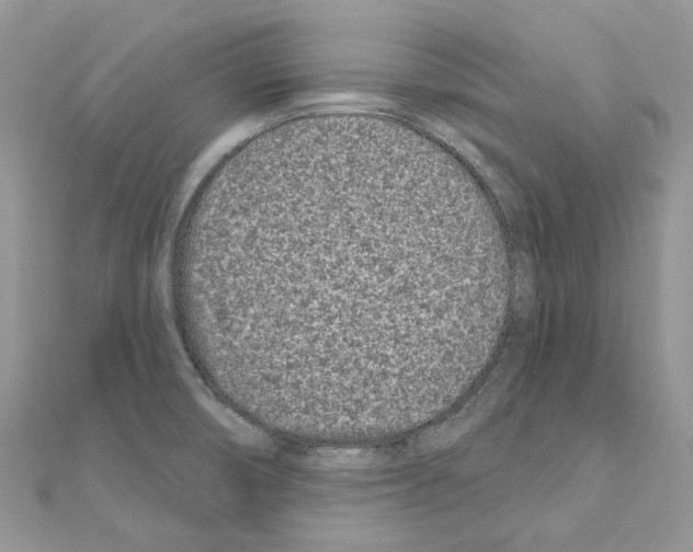 X0000110881474200907301424