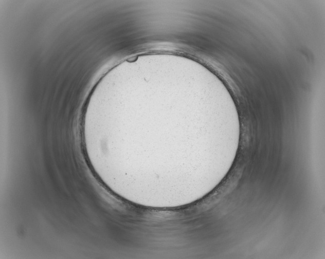 X0000110881475200907301424