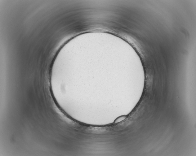 X0000110881476200907301424