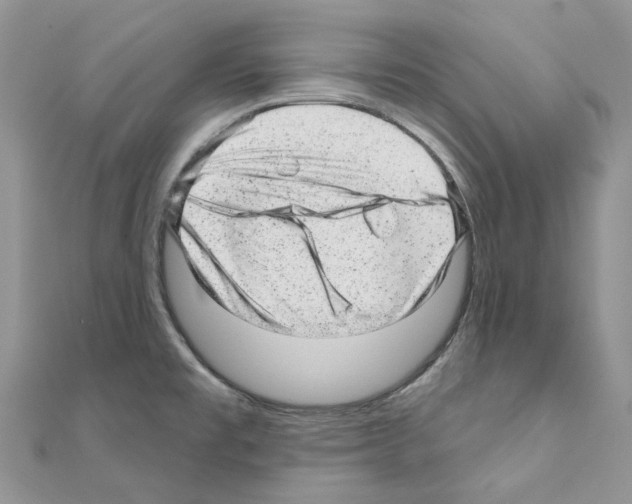 X0000110881477200907301424