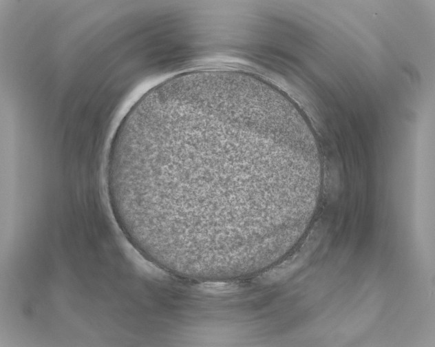 X0000110881478200907301424