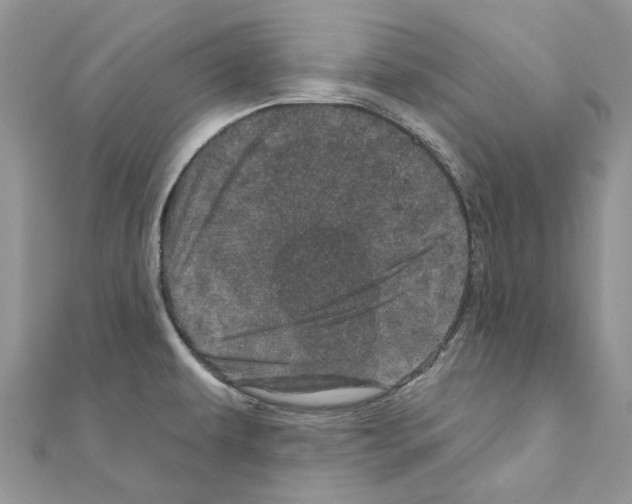 X0000110881479200907301424