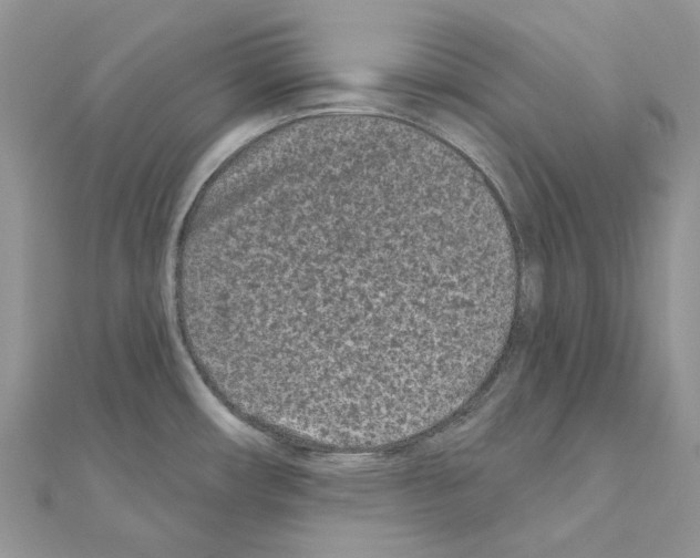 X0000110881482200907301424