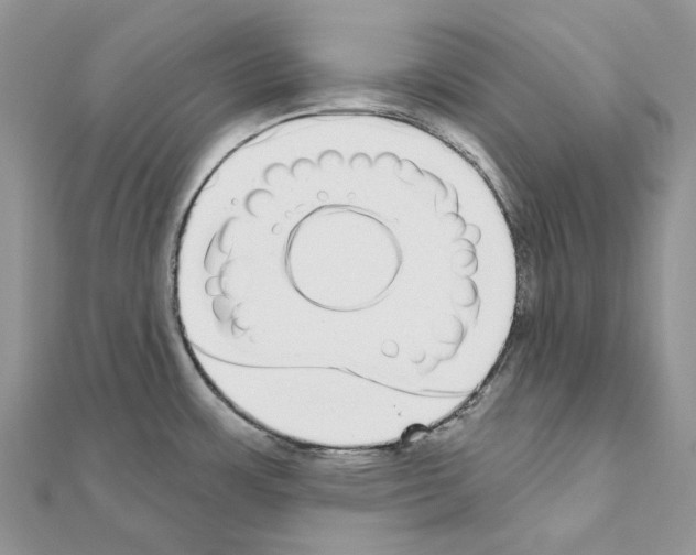 X0000110881483200907301424