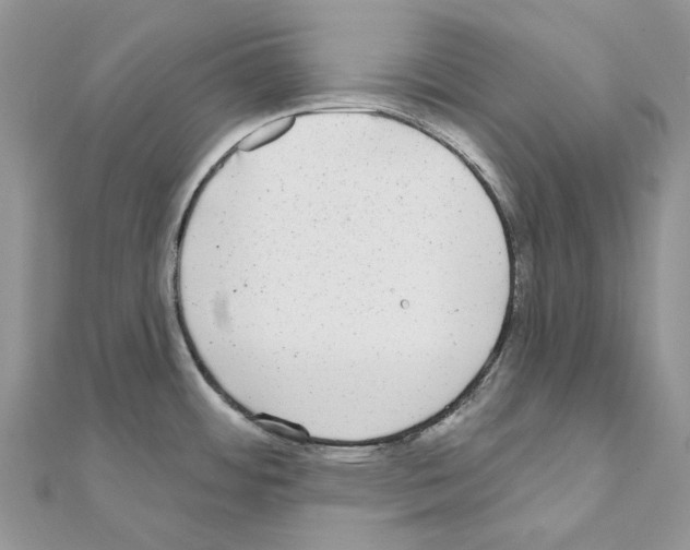 X0000110881484200907301424