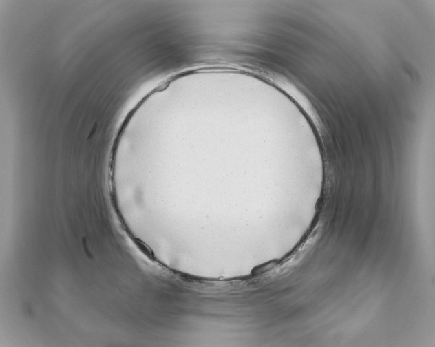 X0000110881485200907301424