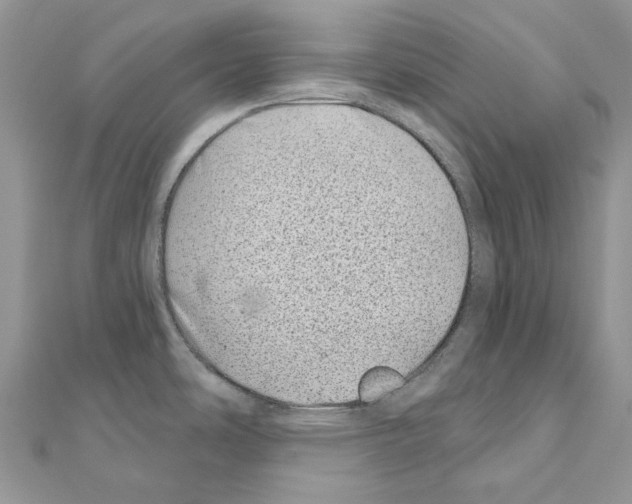 X0000110881486200907301423