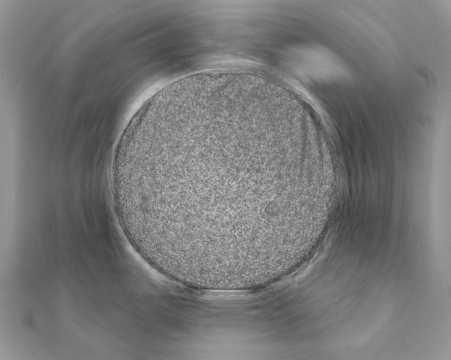 X0000110881487200907301423