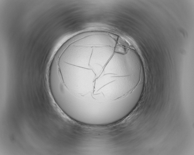 X0000110881488200907301423