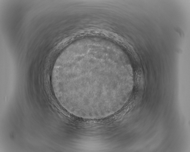 X0000110881489200907301423