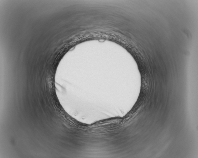 X0000110881490200907301423