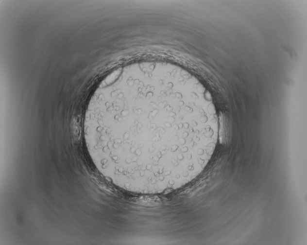 X0000110881491200907301423