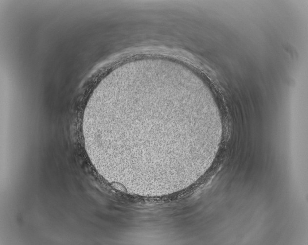 X0000110881494200907301423