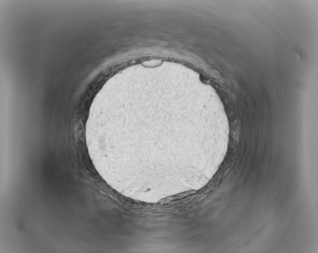 X0000110881495200907301423