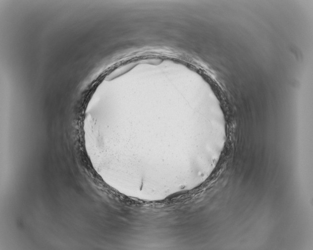 X0000110881496200907301423