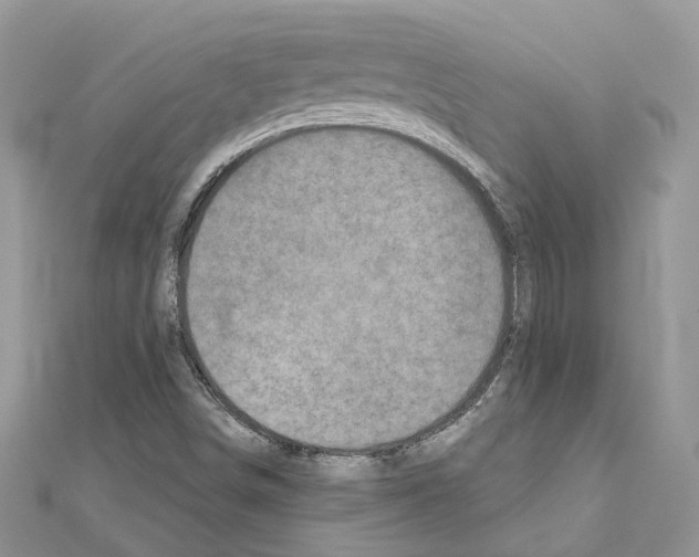 X0000110881498200907301423