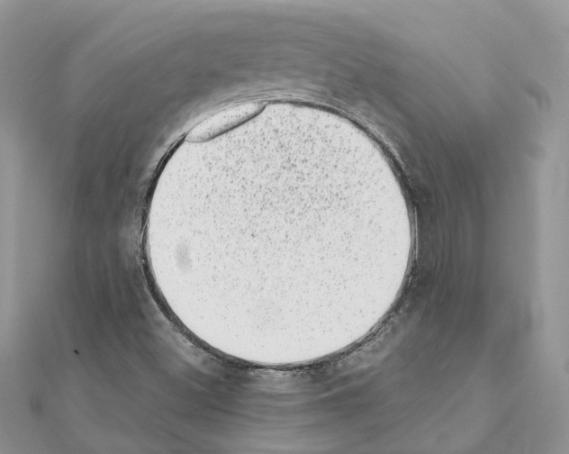 X0000110881500200907301423