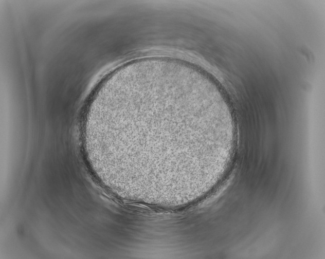 X0000110881501200907301423