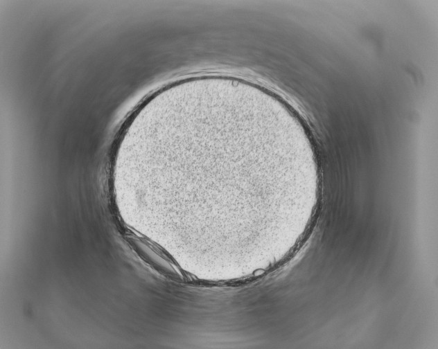 X0000110881502200907301423