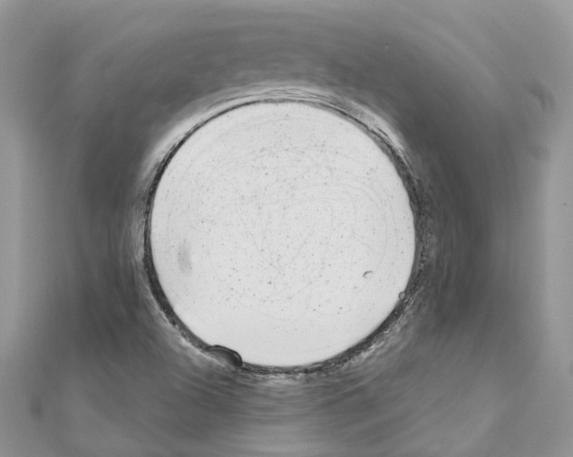 X0000110881504200907301423