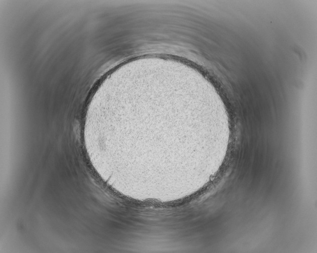 X0000110881505200907301423