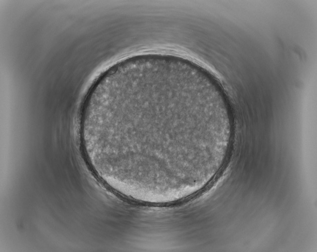 X0000110881506200907301423