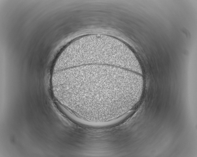 X0000110881507200907301423