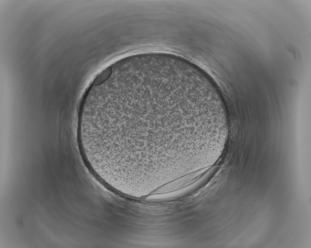 X0000110881508200907301423