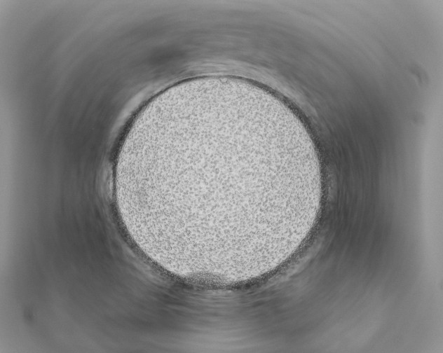 X0000110881509200907301423