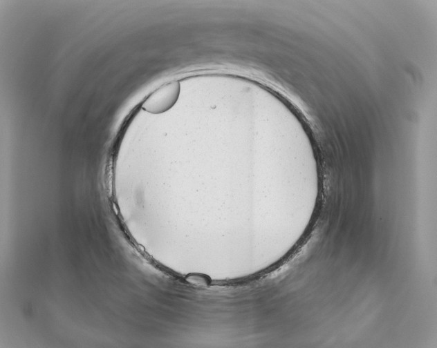 X0000110881510200907301423