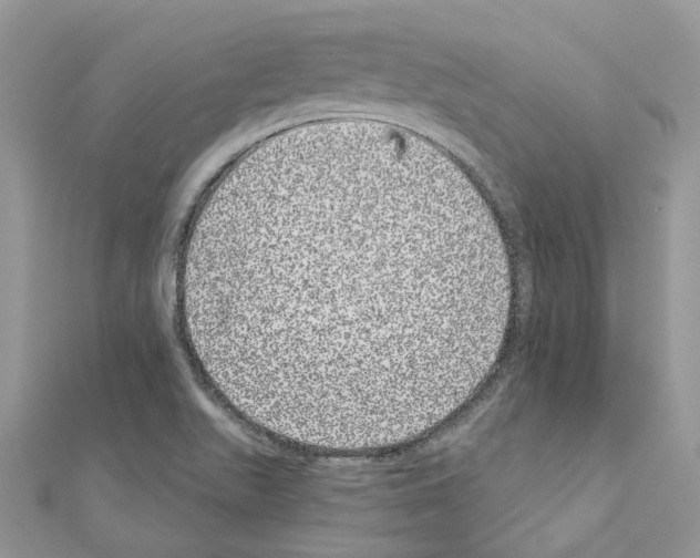 X0000110881511200907301423