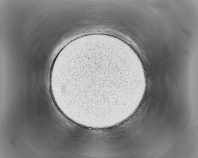 X0000110881512200907301423