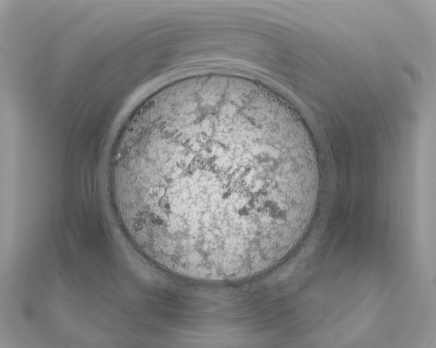 X0000110881514200907301423